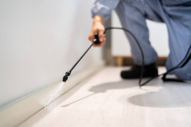 Bed Bug Pre-Treatment Preparation Assessment in Manatee Road