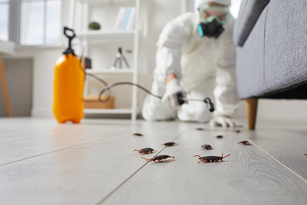 Post-Treatment Bed Bug Interceptor Monitoring in Manatee Road